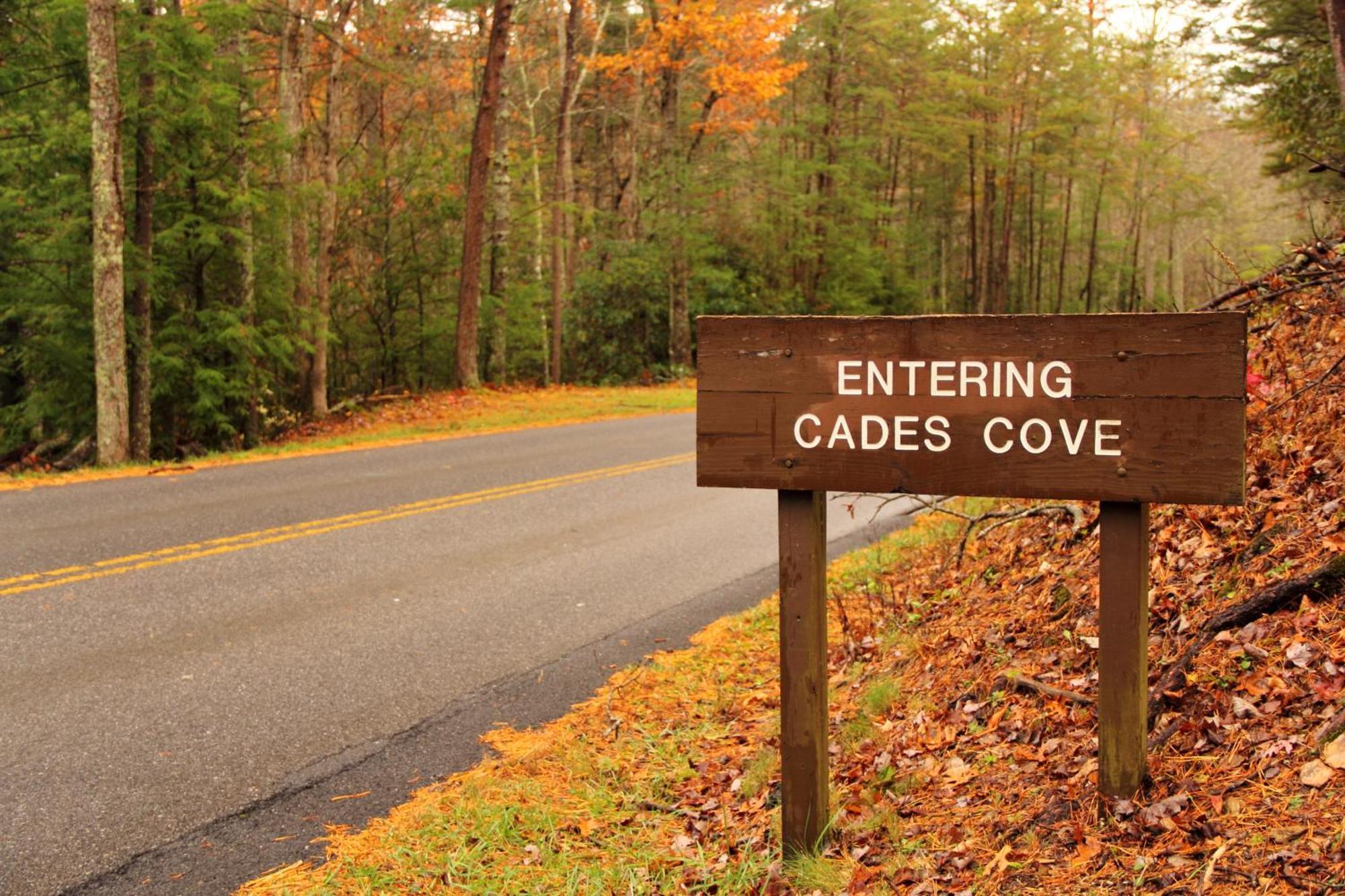 Laurel Cottage, 1089 Free Tickets Each Paid Day, Dollywood And More セバービル エクステリア 写真