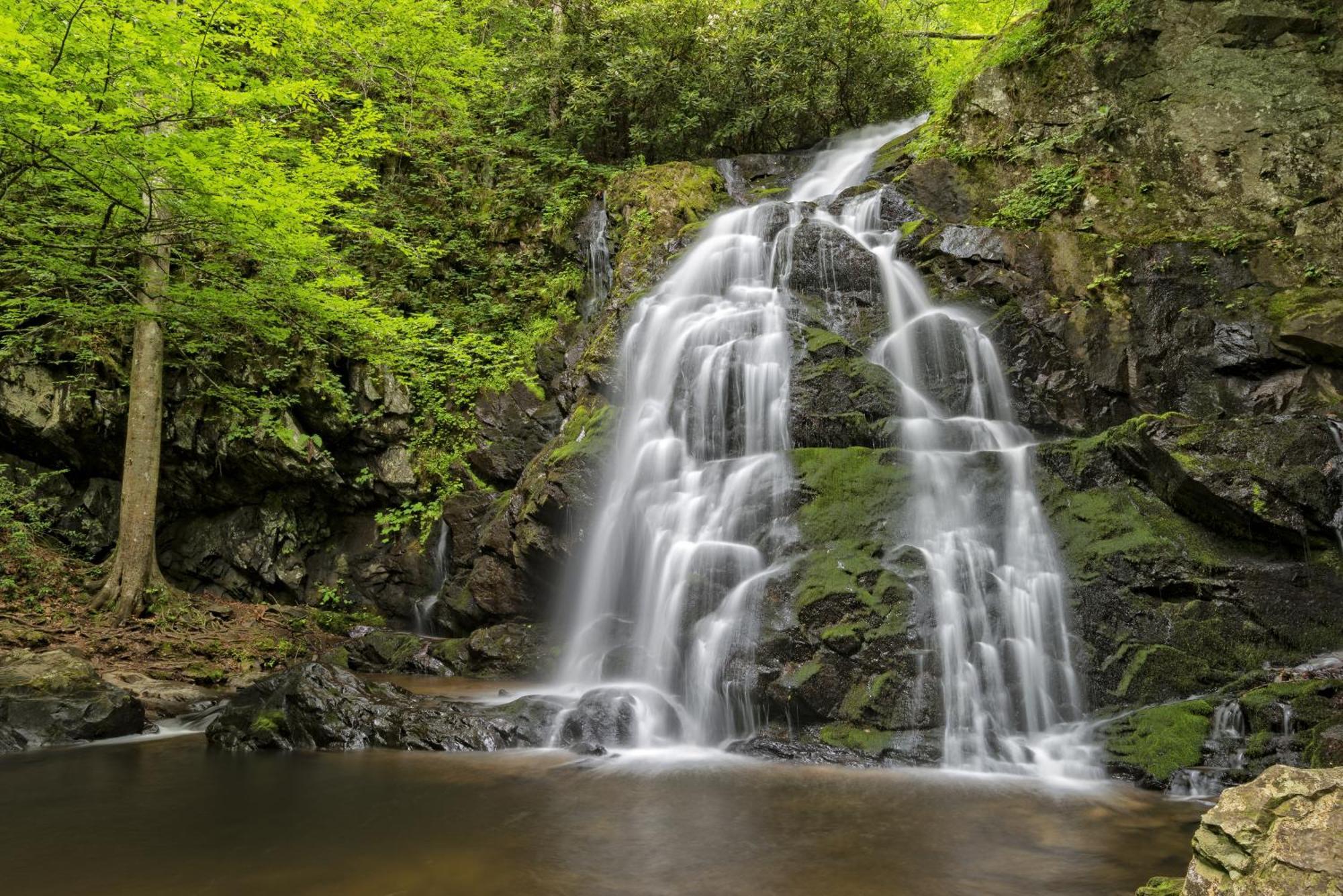 Laurel Cottage, 1089 Free Tickets Each Paid Day, Dollywood And More セバービル エクステリア 写真