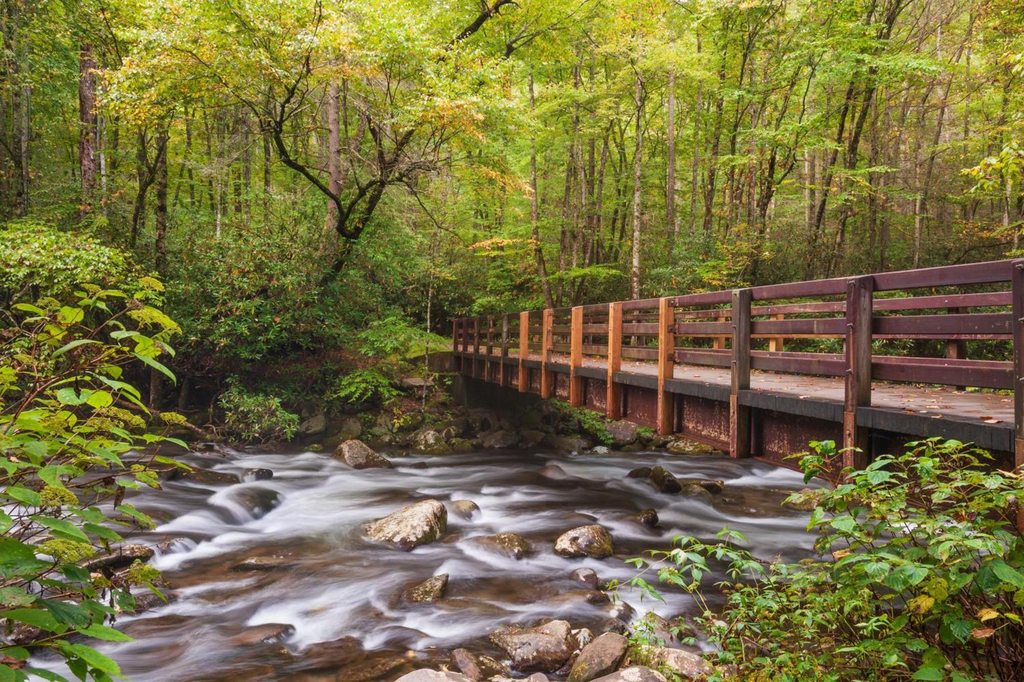 Laurel Cottage, 1089 Free Tickets Each Paid Day, Dollywood And More セバービル エクステリア 写真